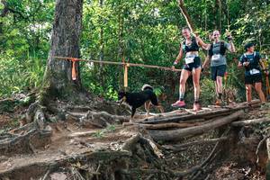 BIB: 
                            <button type="button" onclick="openModal(27555602)" class="btn btn-primary btn-sm float-right btn-popup" data-toggle="modal" data-target=".modal-high-quality">
                        <i class="fas fa-shopping-cart"></i> Add to Cart
                    </button>
                                            <button type="button" onclick="isThisMe(27555602, true)" class="btn btn-success btn-sm float-right btn-popup btn-isme hidden" data-toggle="tooltip" data-placement="bottom" title="นี่คือรูปของคุณใช่ไหม คลิกที่นี่เพื่อเอาเข้าอัลบั้ม">
                        <i class="fas fa-plus"></i> Add to album
                    </button>
                    <button type="button" onclick="isThisMe(27555602, false)" class="btn btn-warning btn-sm float-right btn-popup btn-isnotme hidden">
                        <i class="fas fa-ban"></i> Remove from album
                    </button>